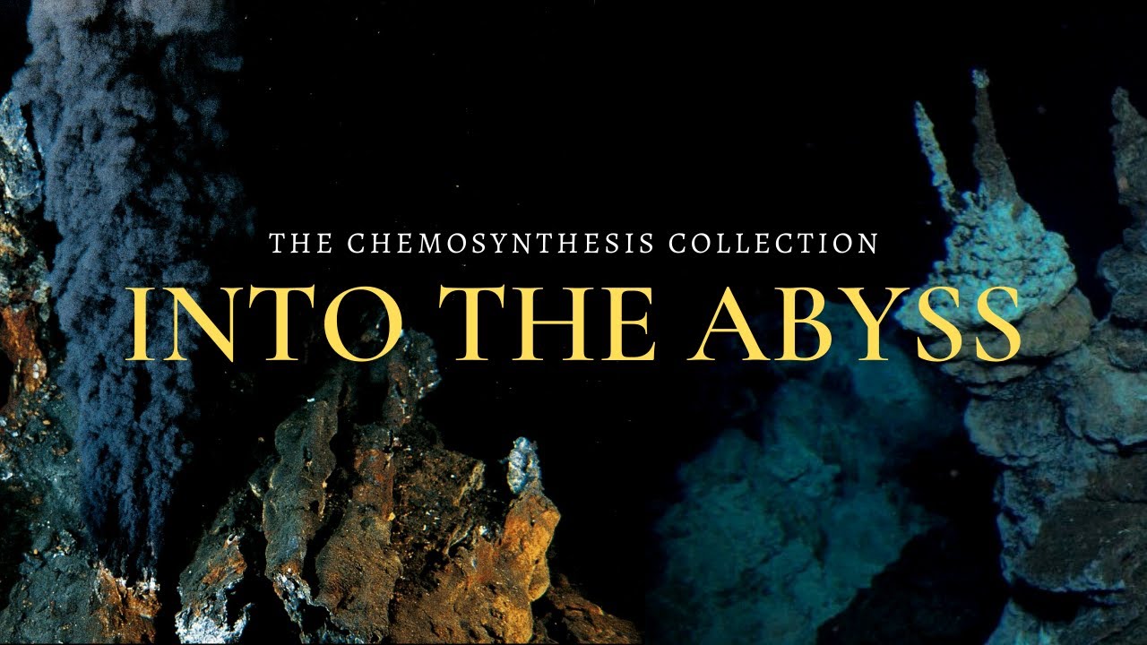 Into the Abyss: Discovering Deep Sea Chemosynthetic Oases 🌊