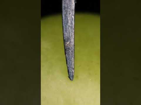 Object Videos Shorts 🎥
