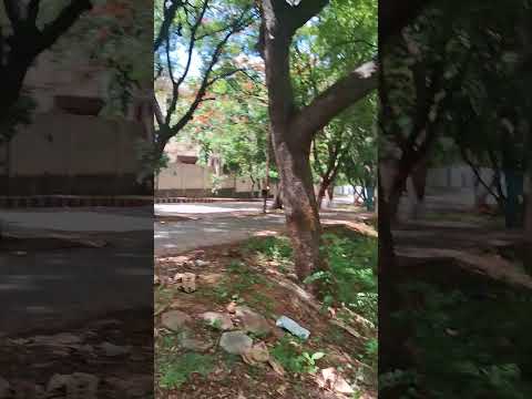 JNTU  Hyderabad College campus #collegelife #college #university #universitylife #campus #jntuh