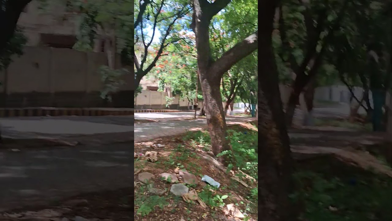 JNTU Hyderabad College Campus Overview