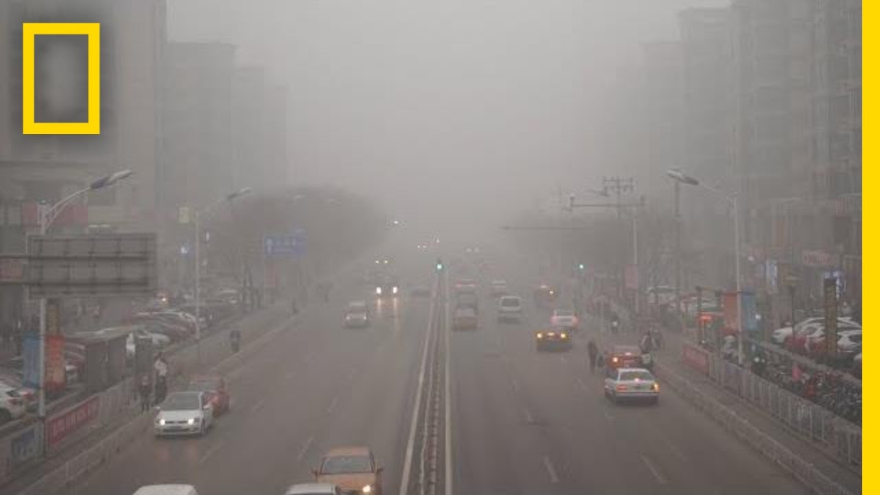 What Is Acid Rain? Causes, Effects & Solutions 🌧️