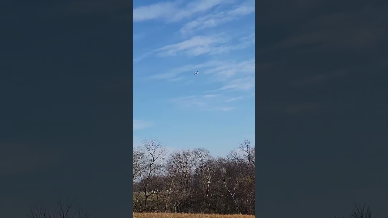 Hand Launching the New E-flite P-51D 1m ✈️