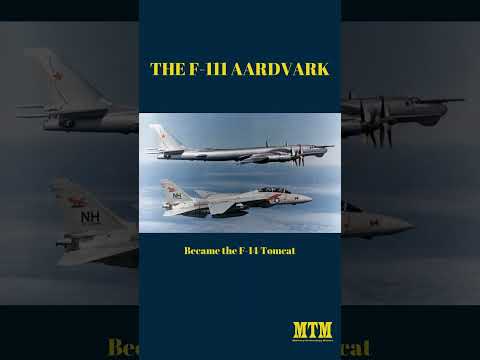 The F-111 Aardvark - A short history #military #history #technology#shorts