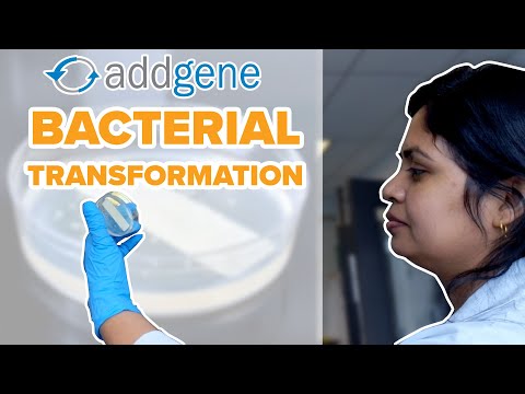 Addgene