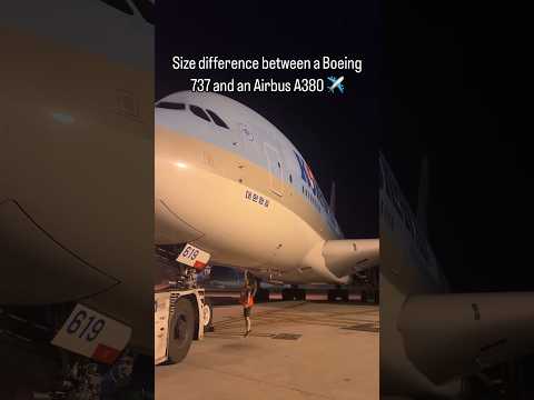 AIRBUS A380 IS NOT THAT BIG🤡#plane #aviation #boeing #airbus owner:nat.madrigal_