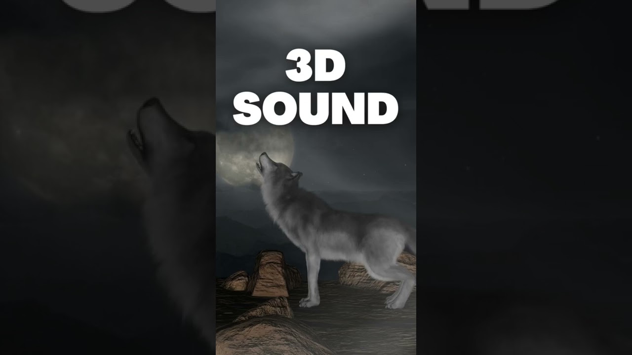 3D Wolf Howl Sound Effect πΊ