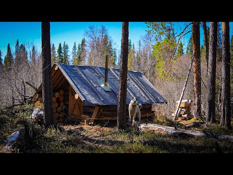 ЗА ХАРИУСОМ НА ТАЁЖНУЮ РЕЧКУ. ПЕРВАЯ РЫБАЛКА С НОЧЕВКОЙ В ИЗБЕ "БОРОВОЙ"