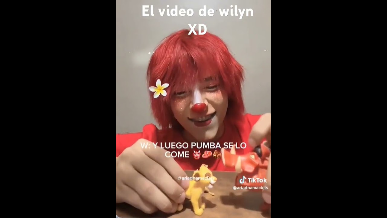 Wilyn k rollo