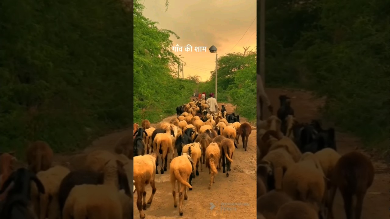 Village Climate & Agriculture Impact 🌱