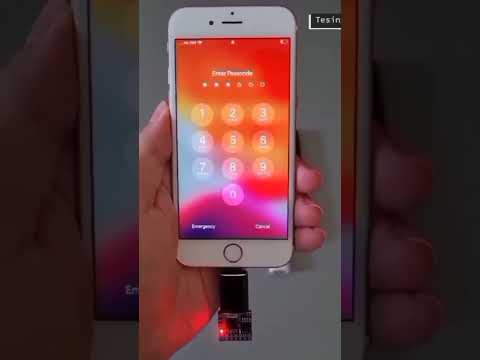 kali linux cracking password #shorts