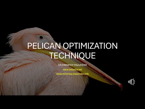 Master the Pelican Optimization Algorithm: A Complete Step-by-Step Guide