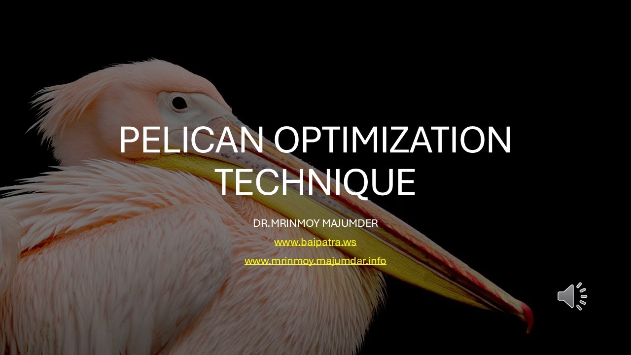 Unlock the Secrets of the Pelican Optimization Algorithm (POA): Your Ultimate Step-by-Step Guide 🐦