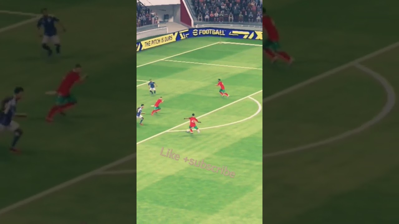 Maghrébins : Culture et Identité 🇲🇦