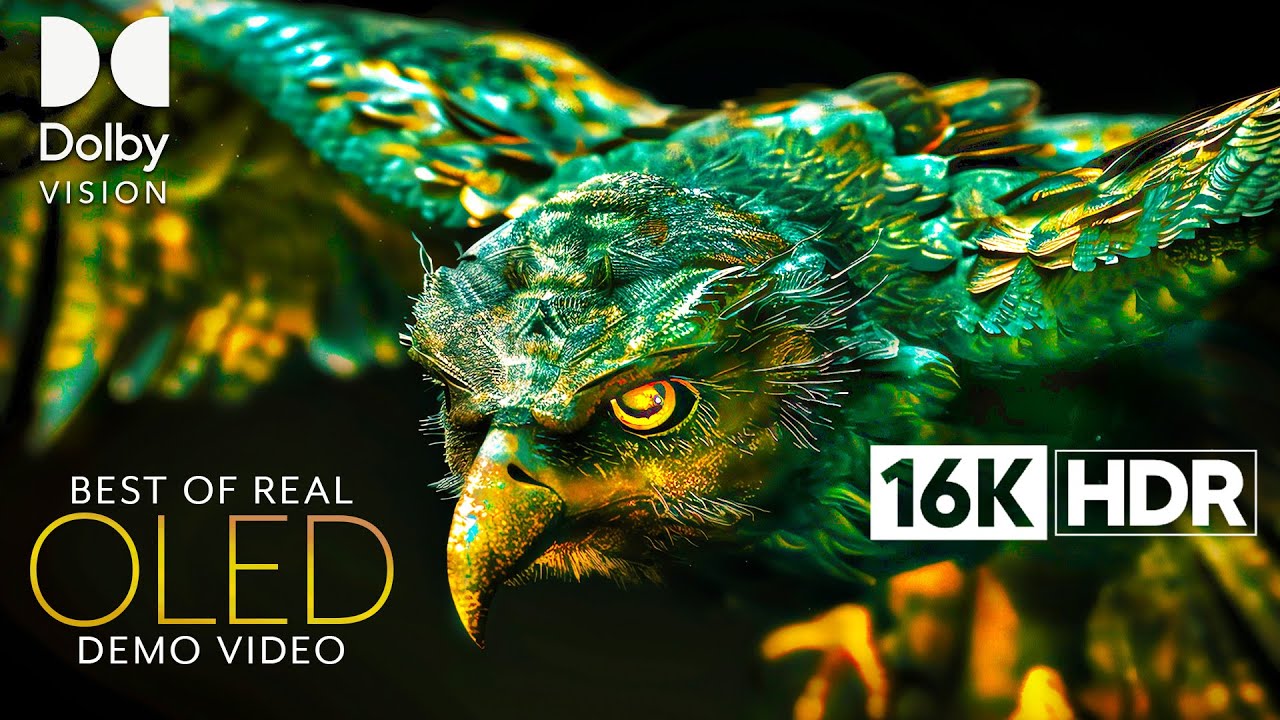16K Ultra HD HDR Dolby Vision OLED Demo at 120FPS