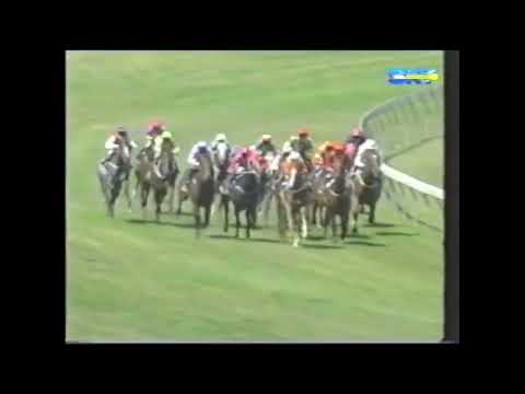 Mr Murphy - Australian Guineas 1600m Group 1 3yo 2001 - Ridden by Damien Oliver