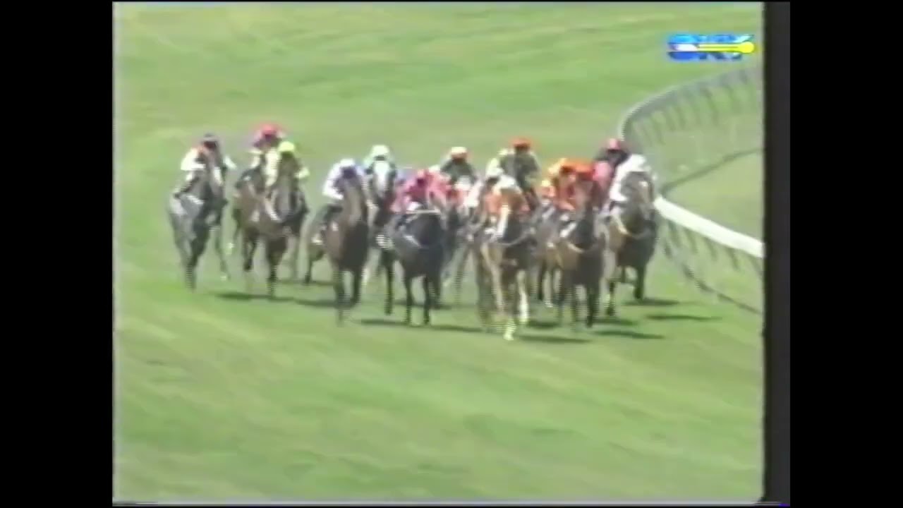 Mr Murphy Wins the 2001 Australian Guineas 🏆 | Damien Oliver Triumphs in 1600m Group 1 Race