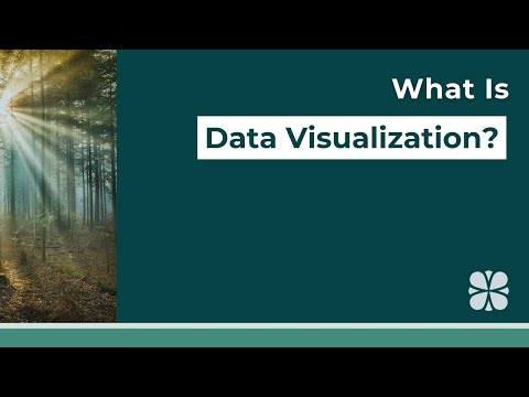 What Is Data Visualization?