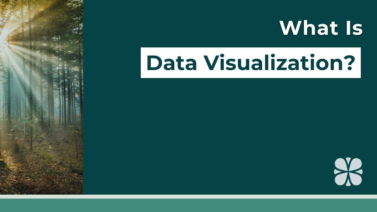 Unlock the Power of Data Visualization: A Simple Guide π