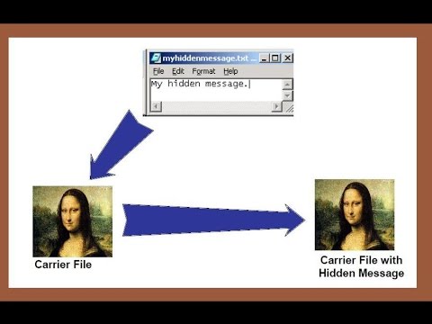 Steganography technique