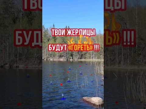 ЭТО ЛУЧШИЙ СПОСОБ НАЖИВИТЬ ЖИВЦА I ЛОВЛЯ ЩУКИ