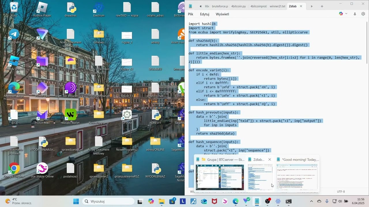 ECDSA Weak Signatures & RSZ Extraction ๐