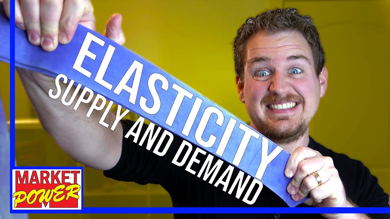 Understanding Elasticity in Economics 📊