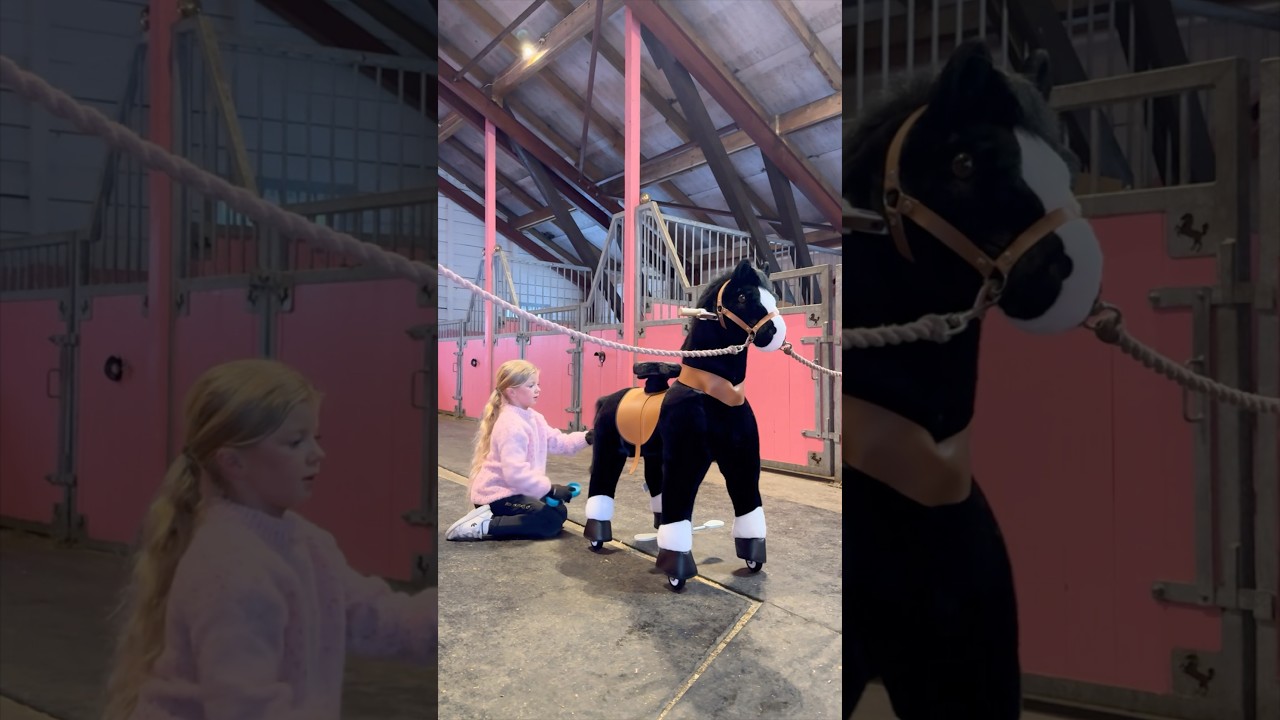 Dreaming of a Real Horse 🐴