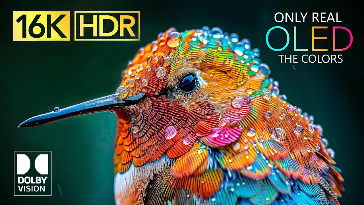 Experience Stunning 16K OLED Ultra HD Video with Dolby Vision & Atmos 🎥