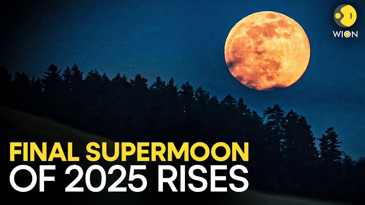 Cold Moon 2025: Final Supermoon Peaks Dec 4 🌕
