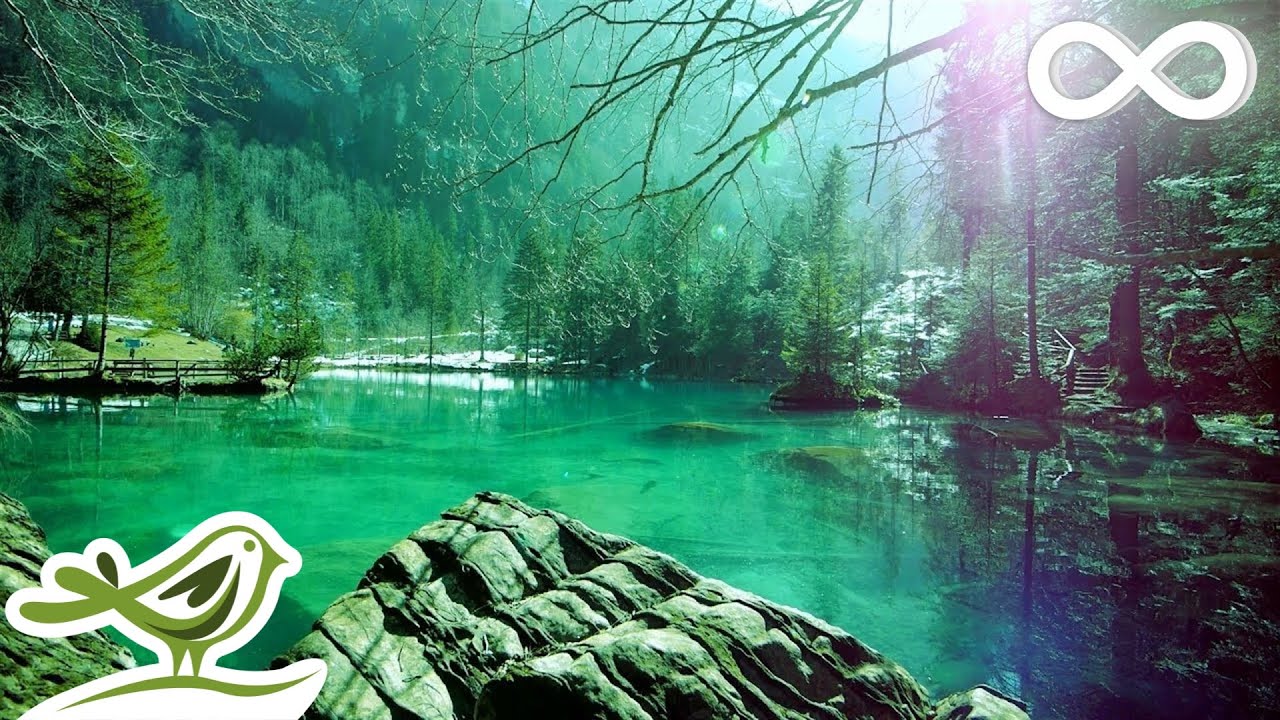 Relaxing Sleep Music