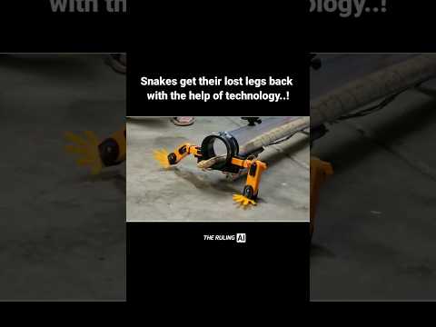 Snakes get their lost legs back with the help of technology..! #ai #artificialintelligence #snakes