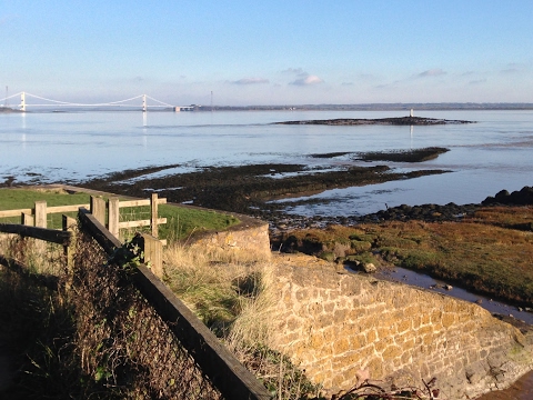 Joint Children and Young People and Adults Select Committees - 23rd March 2017