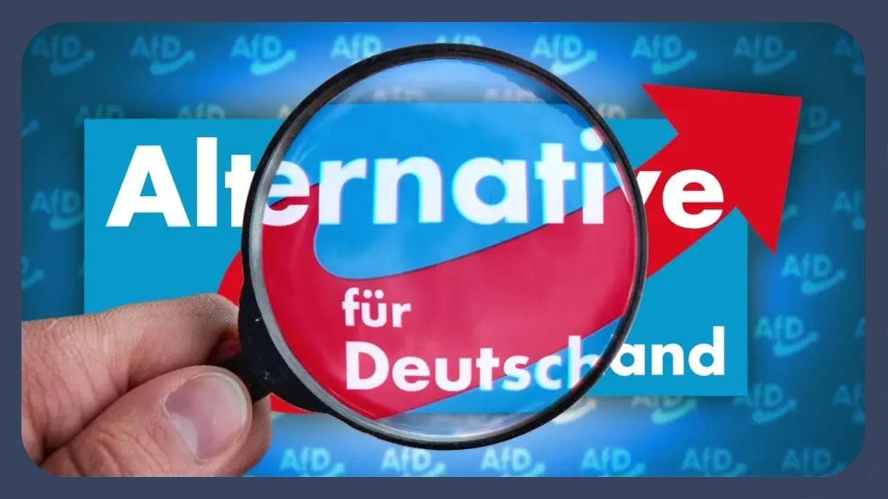 Verfassungsschutz: AfD ist "gesichert rechtsextrem" | Und jetzt? | #analyse