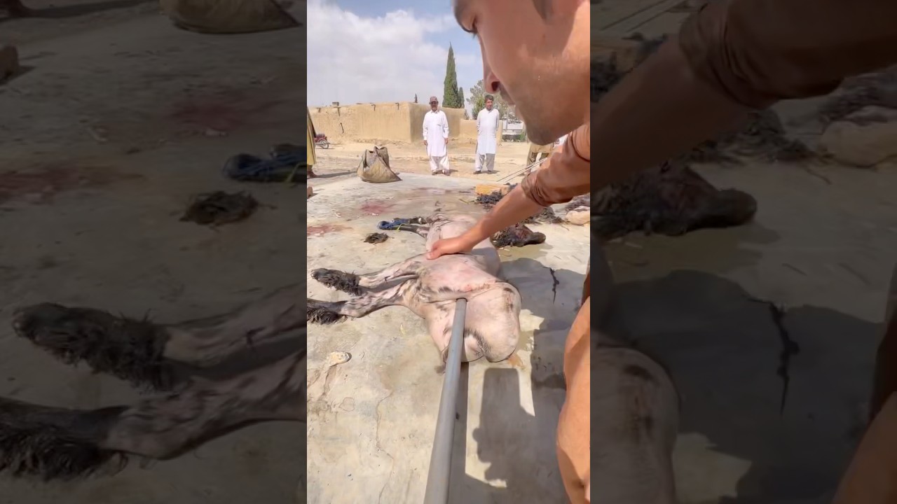 Discover Lahndi: Authentic Pashtun Dried Meat Dish in Quetta π΅π°