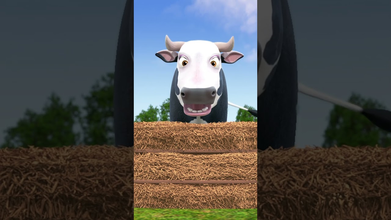 Vaca Maru se Engana 🐮 | Shorts da Fazenda