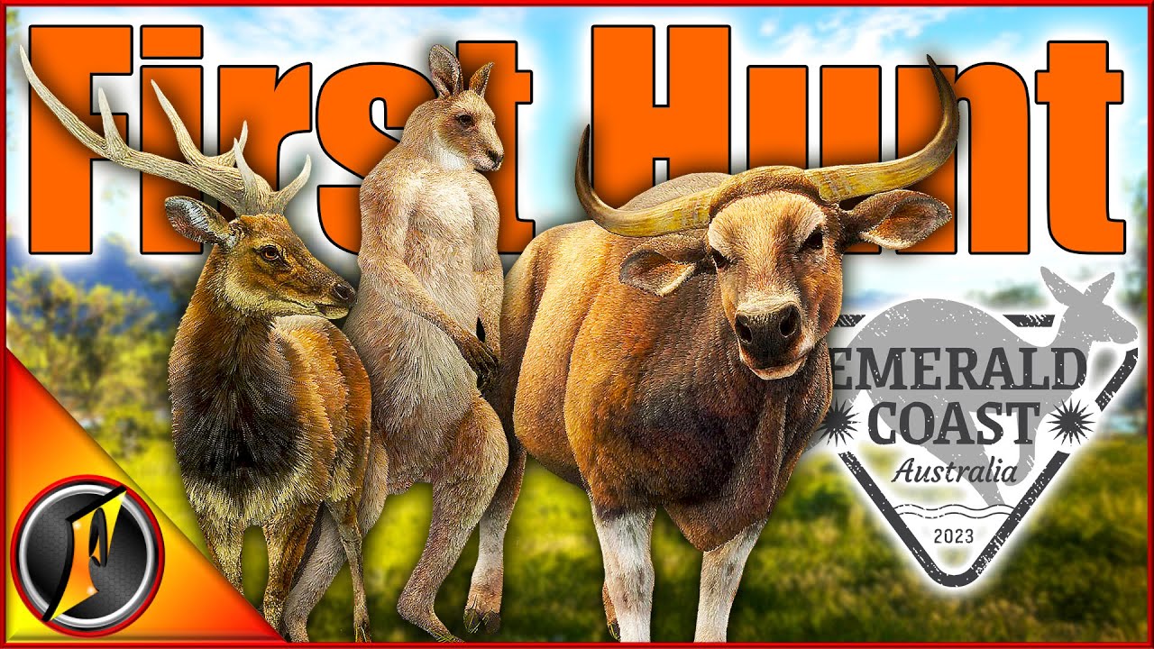 First Hunt on Emerald Coast! 🦌 Amazing Experience