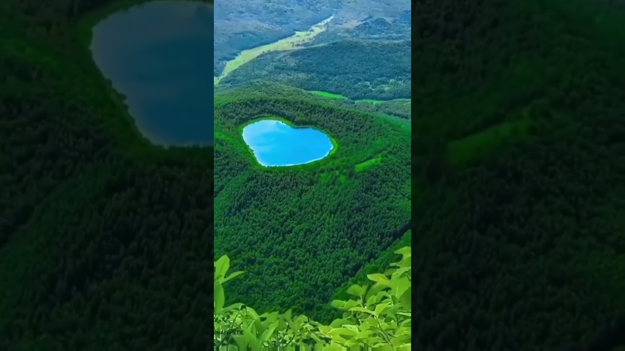Nature's Marvels: A Journey Through Beauty 🌿