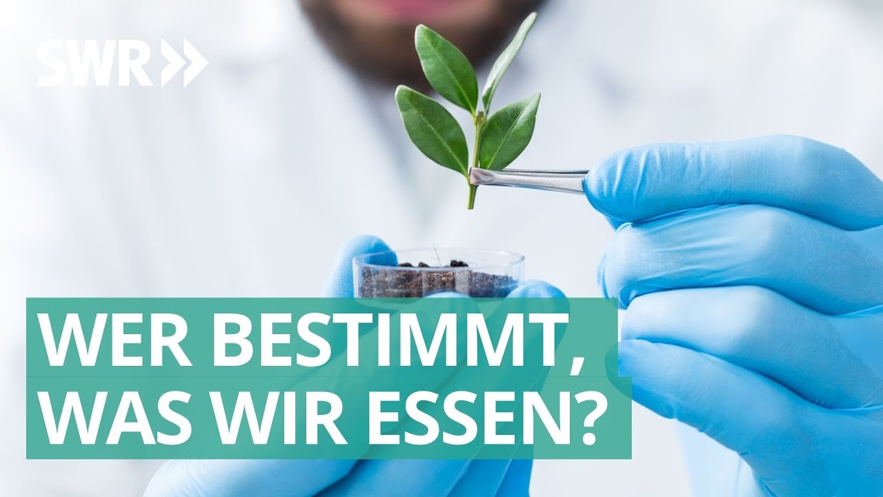 Hinter den Lebensmitteln: Der Weg vom Saatgut bis zum Teller 🌱