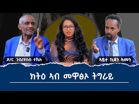 ኣብ ህልው ፖለቲካዊ ኩነታትን መዋፅኦ ትግራይን  ክትዕ ኣብ ሞንጎ ዶር ገብረየሱስ ተኽሉን ኣይተ ኪዳነ ኣመነን