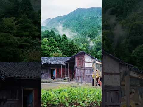 Rural life and nature #EP88 #nature #shorts