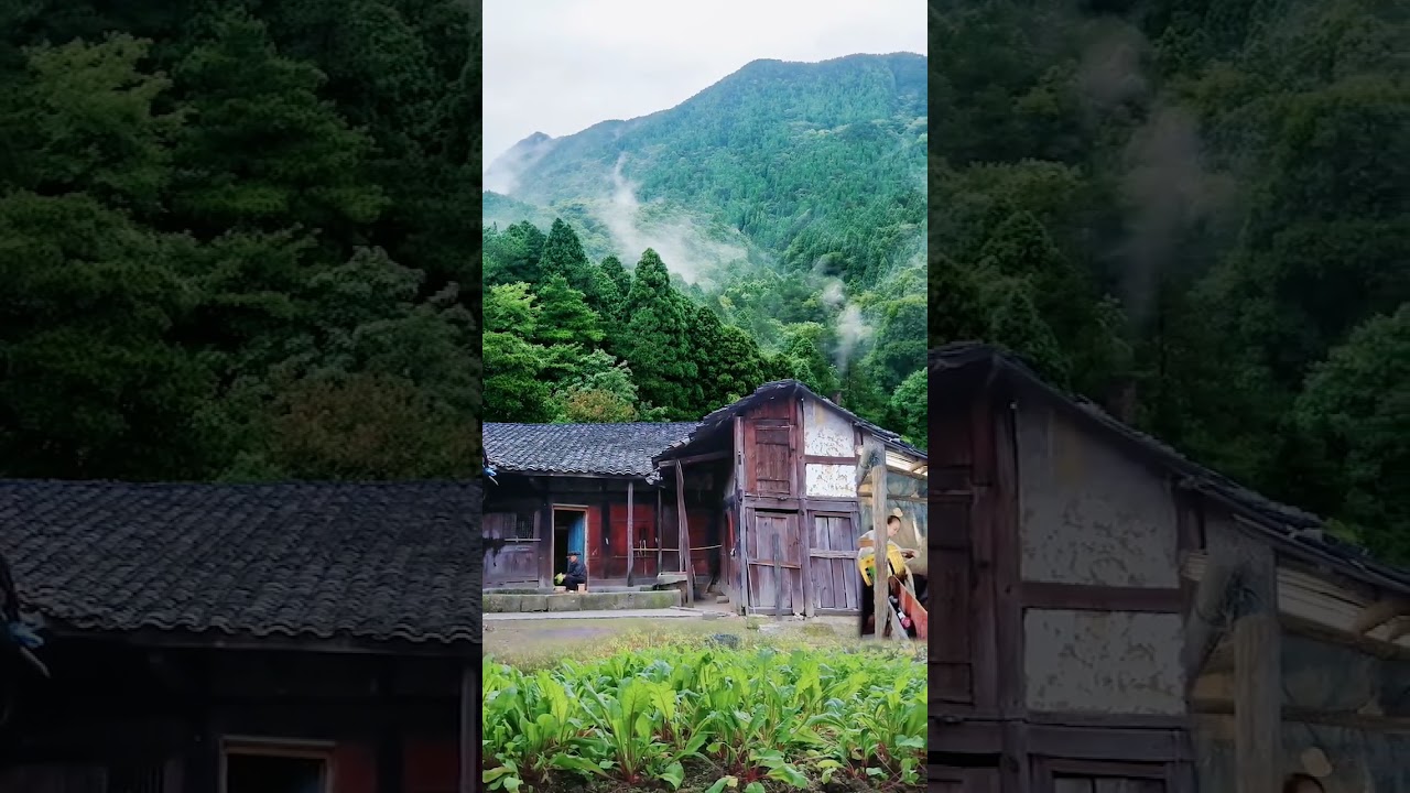 Rural Life & Nature 🌿 #EP88 #Shorts