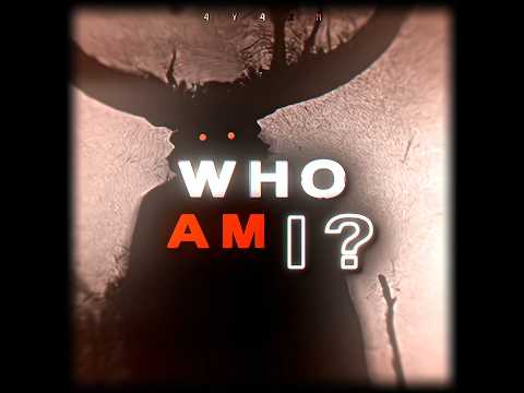 4y4xn_am
