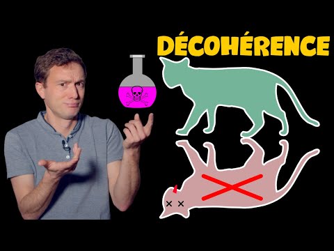 Chats de Schrödinger & Décohérence quantique