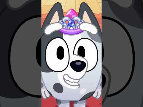 Muffin rejoint la bibliothèque 📚 | Bluey Français Chaîne Officielle