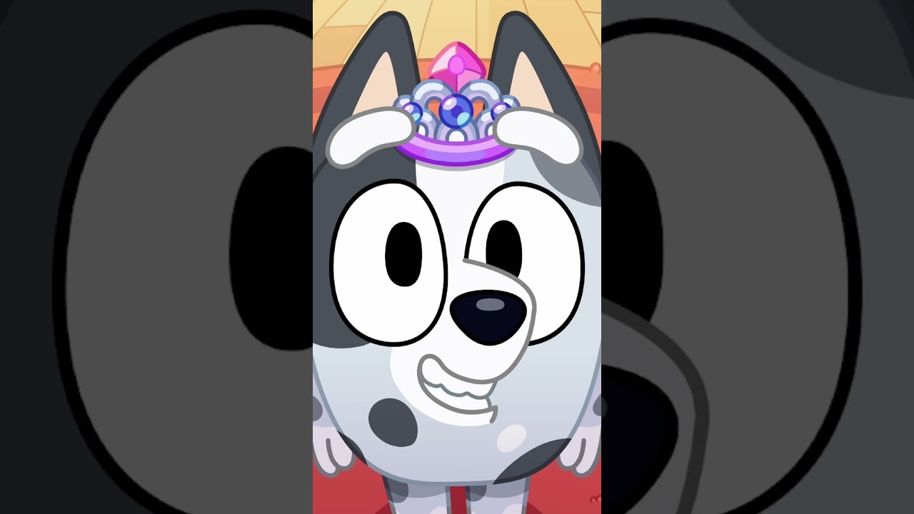 Muffin découvre la bibliothèque dans Bluey 📚 | Chaîne Officielle