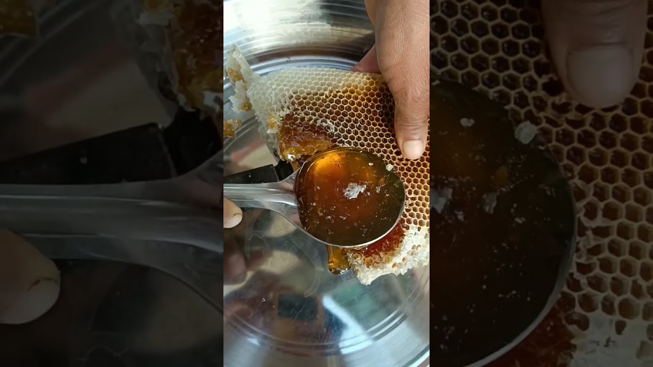 100 Discover the Purest Honey Ever 🍯 | Nature’s Sweetest Gift