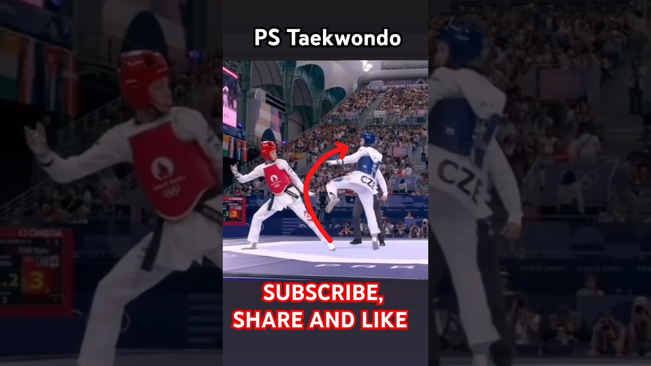 Techniques of Taekwondo Fighting