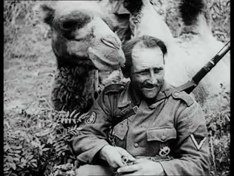 Les Grandes Batailles : Stalingrad (1942-43)