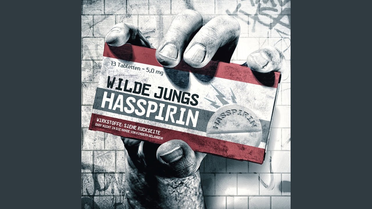 Ich muss nen Scheiß – Wilde Jungs Hasspirin