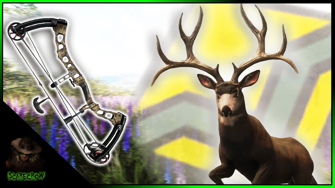 Bow Hunting a Massive Diamond Mule Deer 🎯